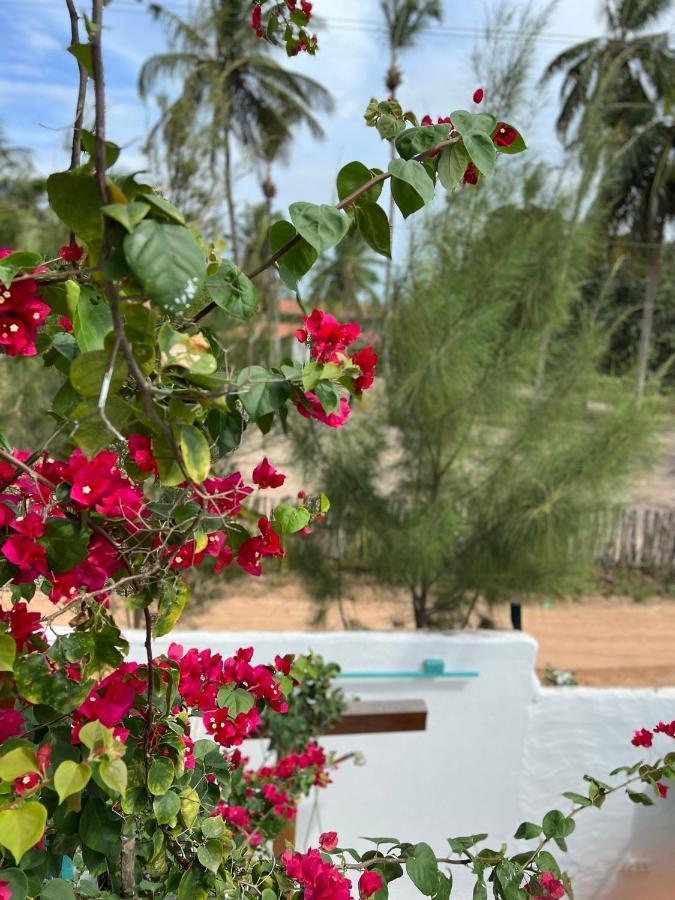 Vila Avian بري المظهر الخارجي الصورة