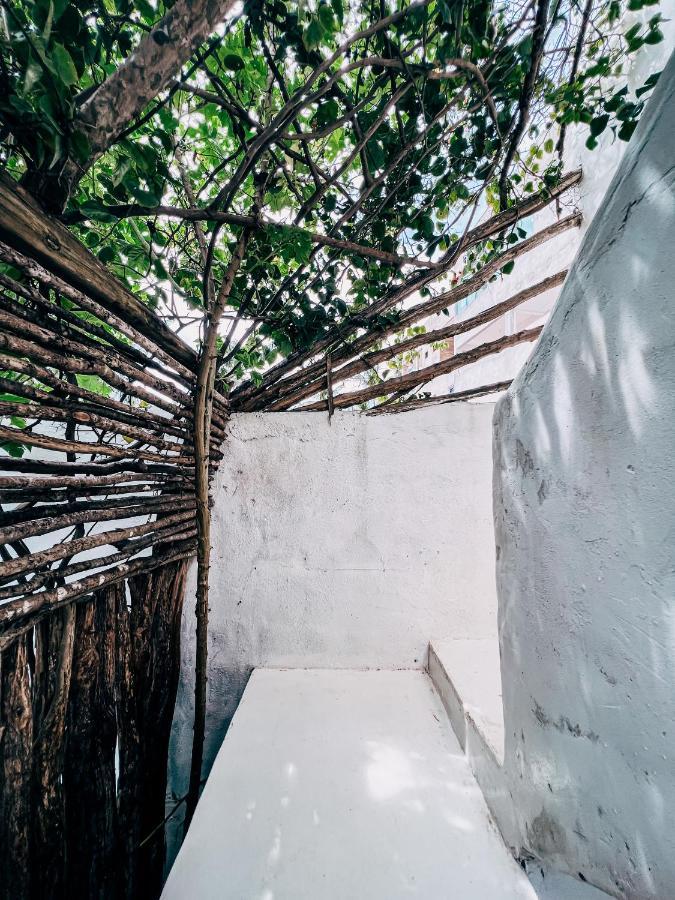 Vila Avian بري المظهر الخارجي الصورة