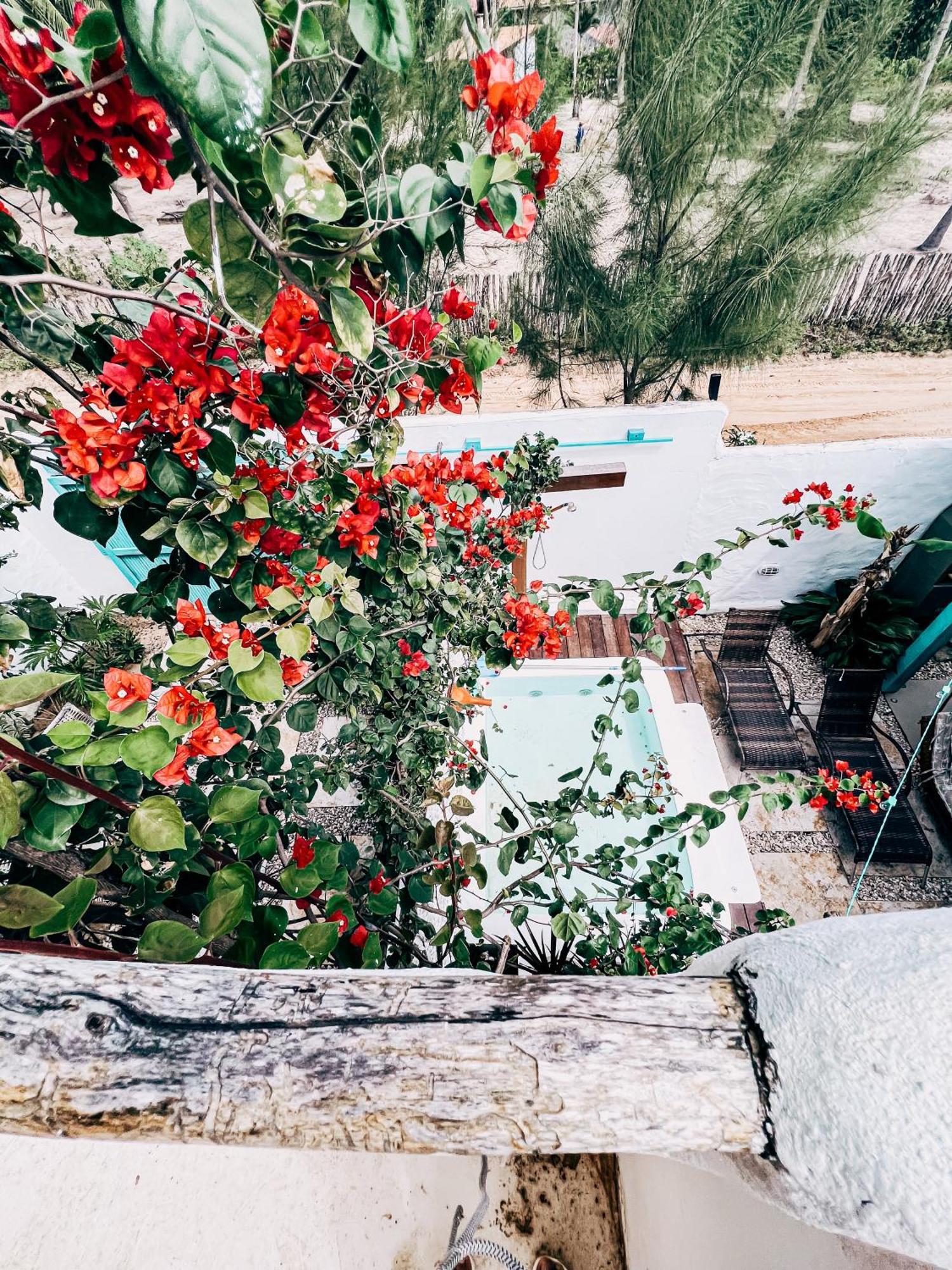 Vila Avian بري المظهر الخارجي الصورة